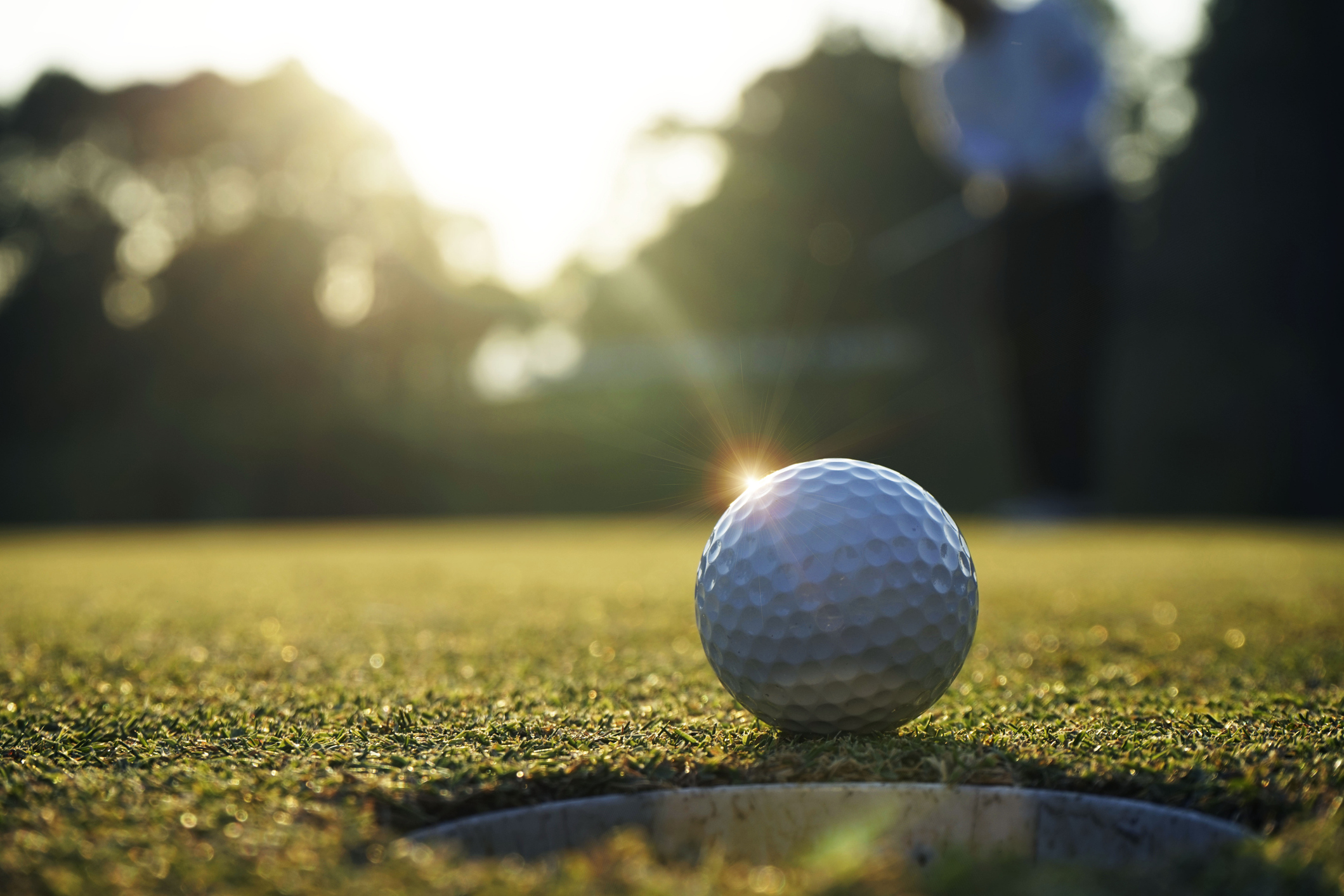 Best Golf Courses on Hilton Head Island