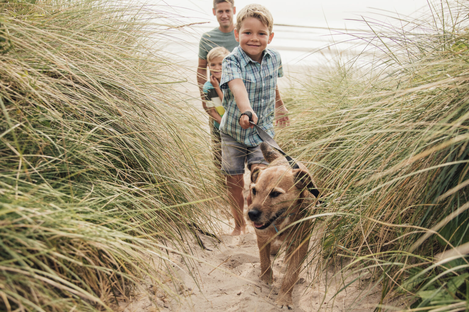 Hilton Head is Dog-Friendly! - Coastal Vacation Rentals
