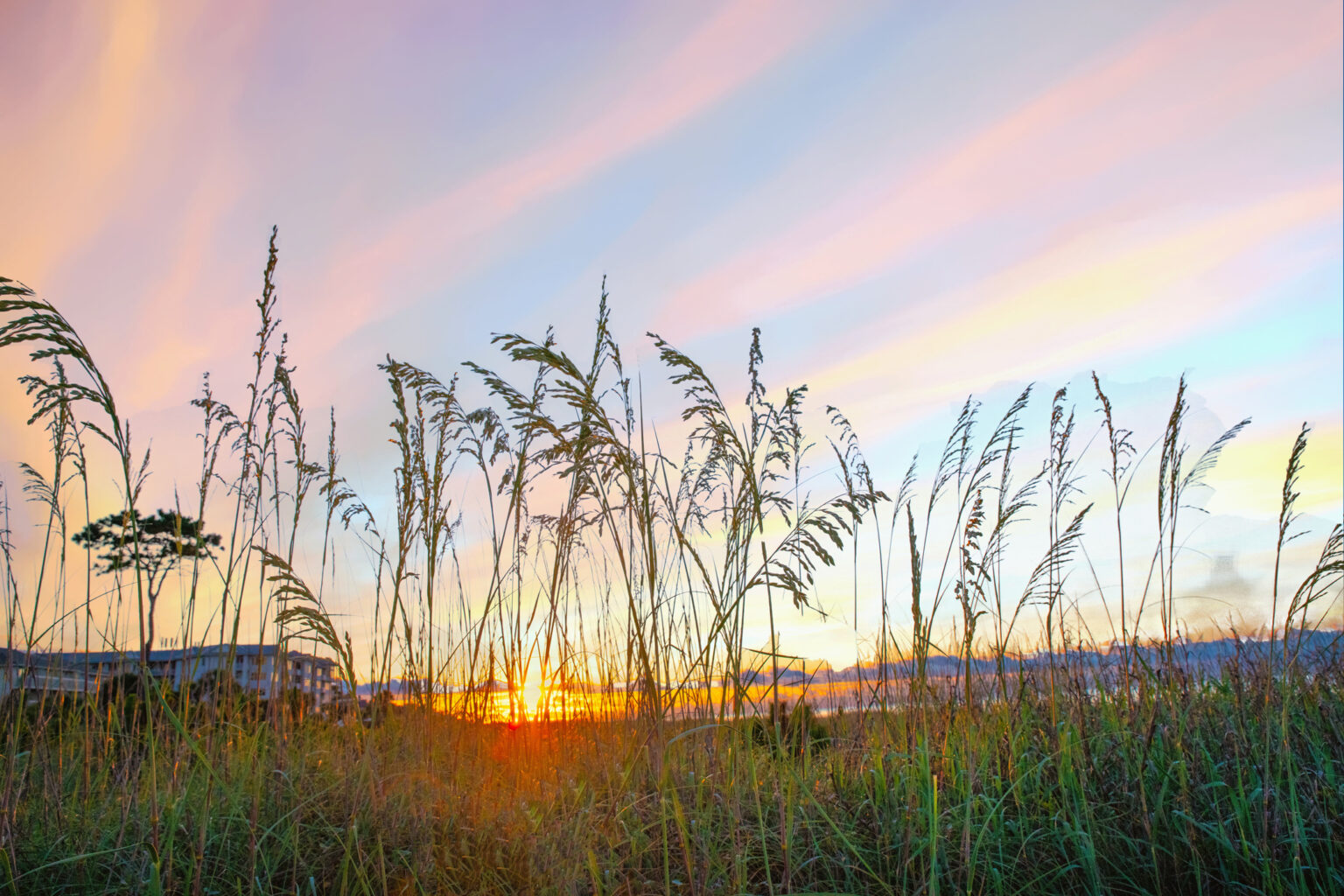 Best Time to Visit Hilton Head Island Coastal Vacation Rentals