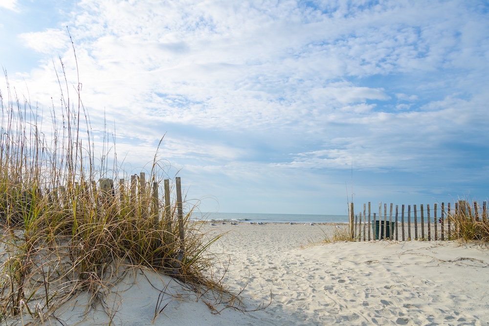 guide to palmetto dunes