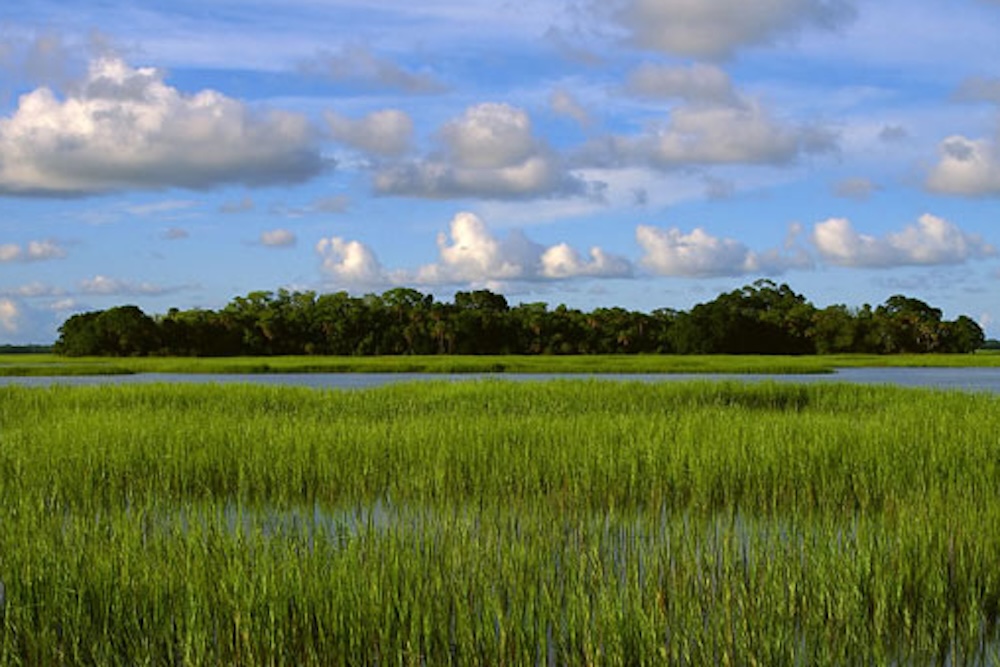 pinckney island national wildlife refuge